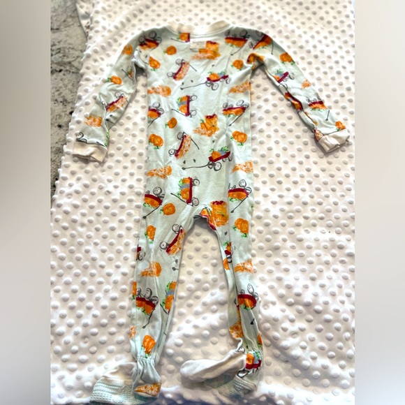 Burt’s Bee Baby Fall Pajamas in “Autum Wagon” (2023) - Picture 2 of 5